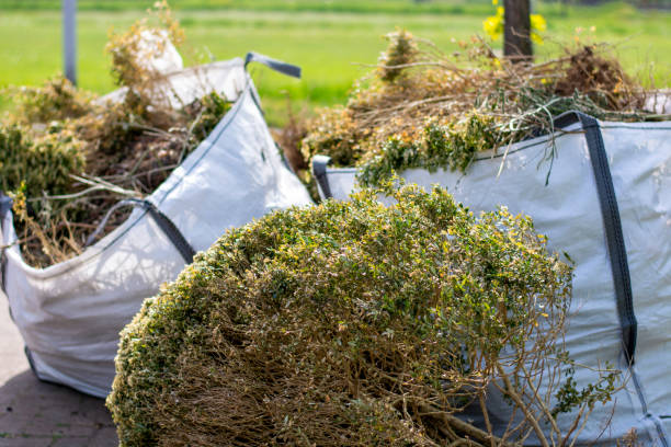 Best Basement Cleanout Services  in Los Angeles, CA